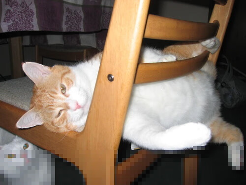 九游娱乐APP-_瑜伽冥想联谊会：放松身心迎接新挑战_，瑜伽冥想视频教学