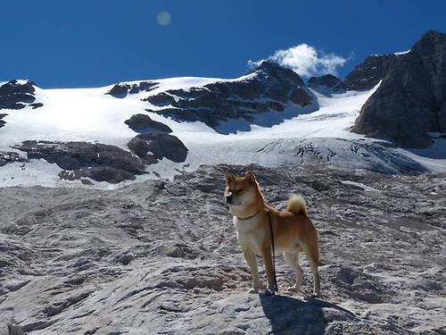 _爵士队连续三场稳定发挥，未来可期_，爵士队2020年