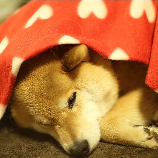 Jiu You-_镜湖泛舟：湖上轻松乐趣多_，镜湖水上