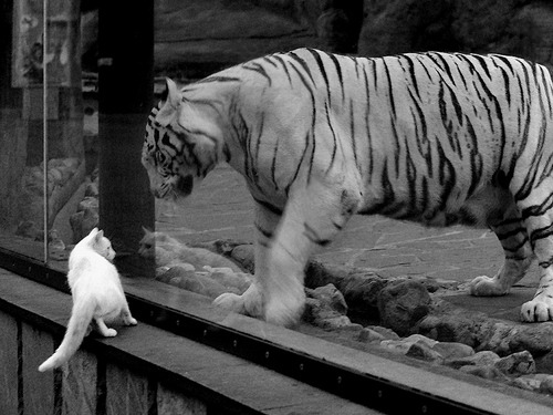 《电竞行业基础数据：用户规模、市场份额全面洞察》，2020年电竞用户规模