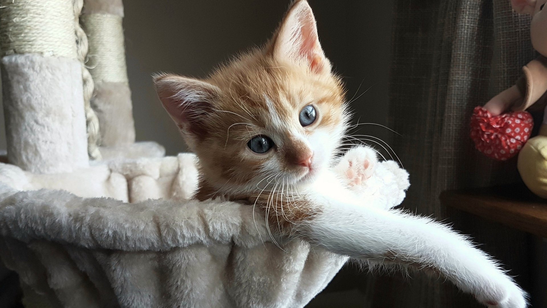 【打击战术揭秘】为何某队击球效率提升如此显著，击球时机