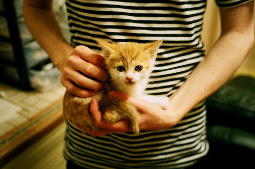 Jiu You-巴西举办篮球文化交流活动，巴西 篮球