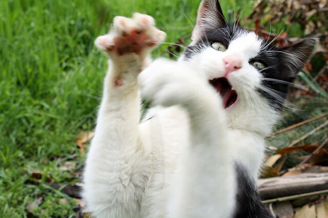 稳定骑行越野竞速，领略郊野风光，骑越野自行车可以锻炼哪里