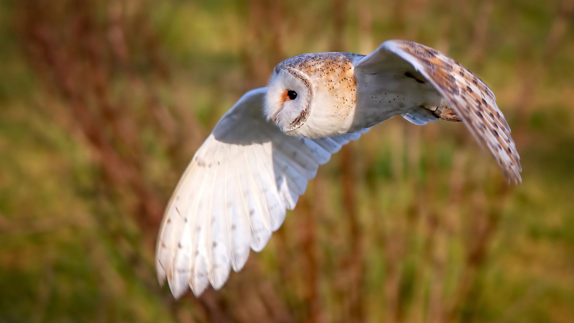 九游网页版入口-青少年“智慧篮”科技创新产品在全国青训展览中获奖，青少年智能设计大赛