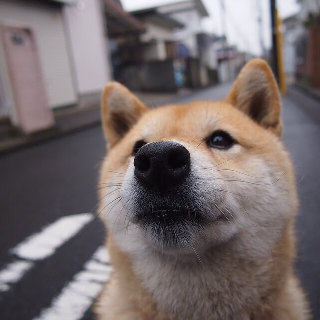 T1关键比赛连胜不断，t1关键比赛连胜不断怎么办