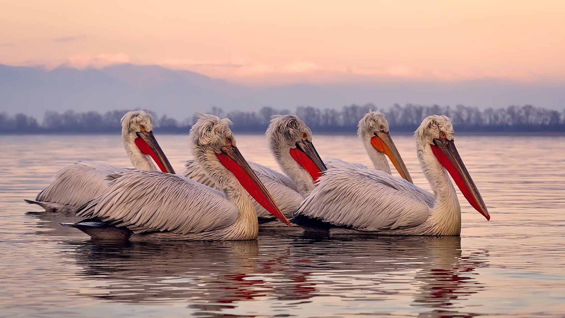 九游娱乐(jiuyou)官方网站-中国足球赛事宣传效果显著，中国足球赛事宣传效果显著吗