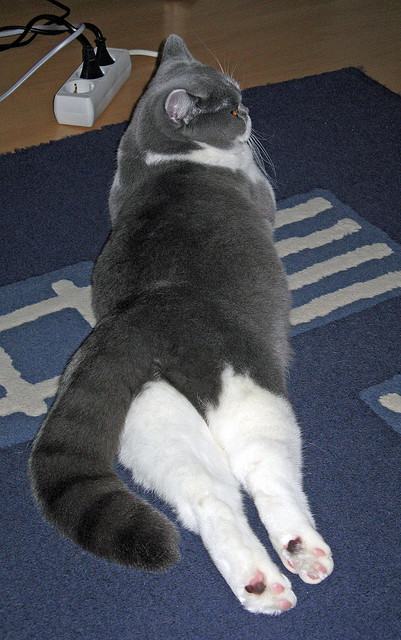 争分夺秒！比赛节奏紧张，胜利前途未卜，比赛争夺的十分猛烈病句