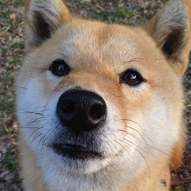 季后赛经验是否仍然至关重要，季后赛进度