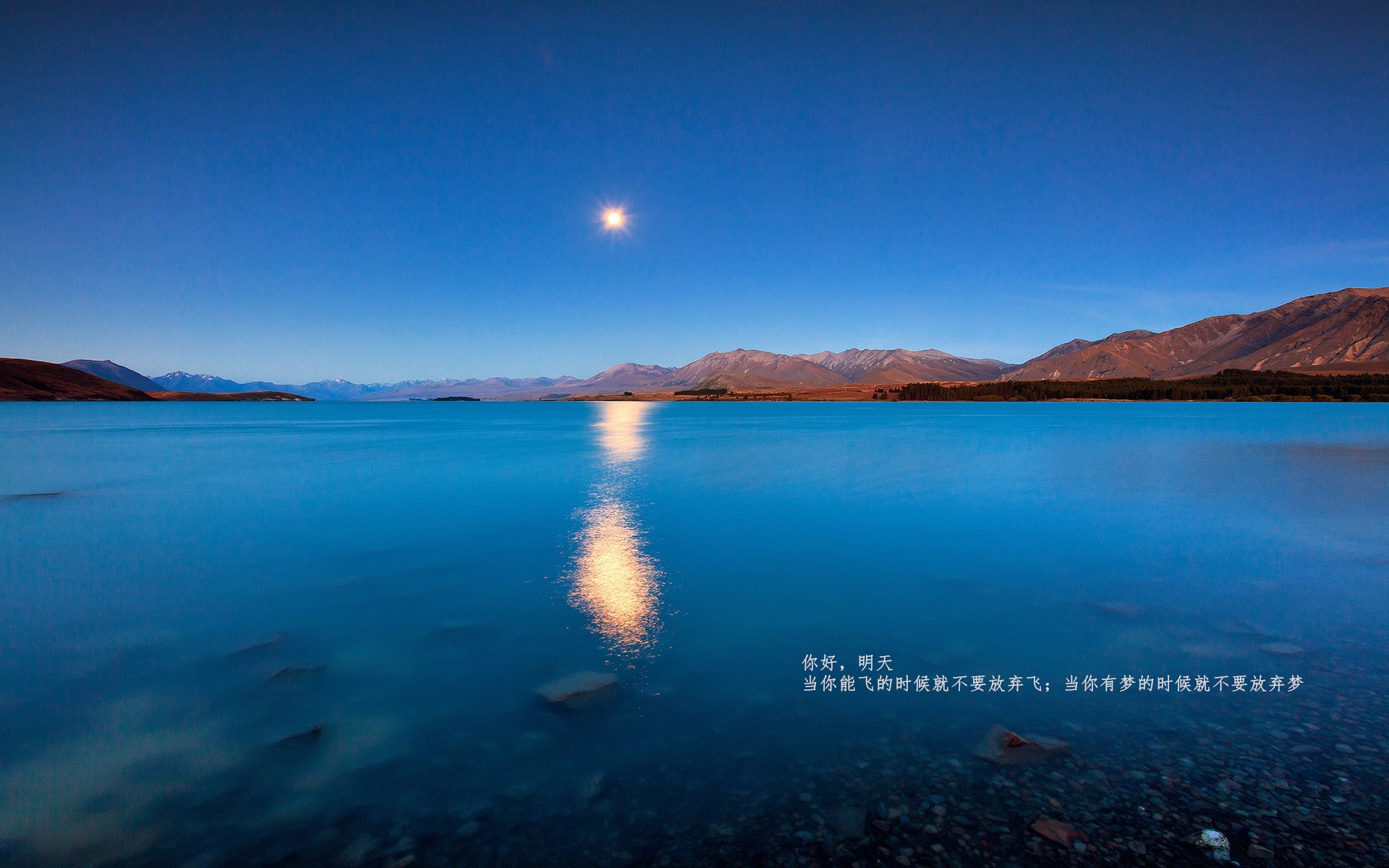 九游网页版官网入口-电竞游戏版本更新对职业选手战术策略影响研究，新的电竞手游