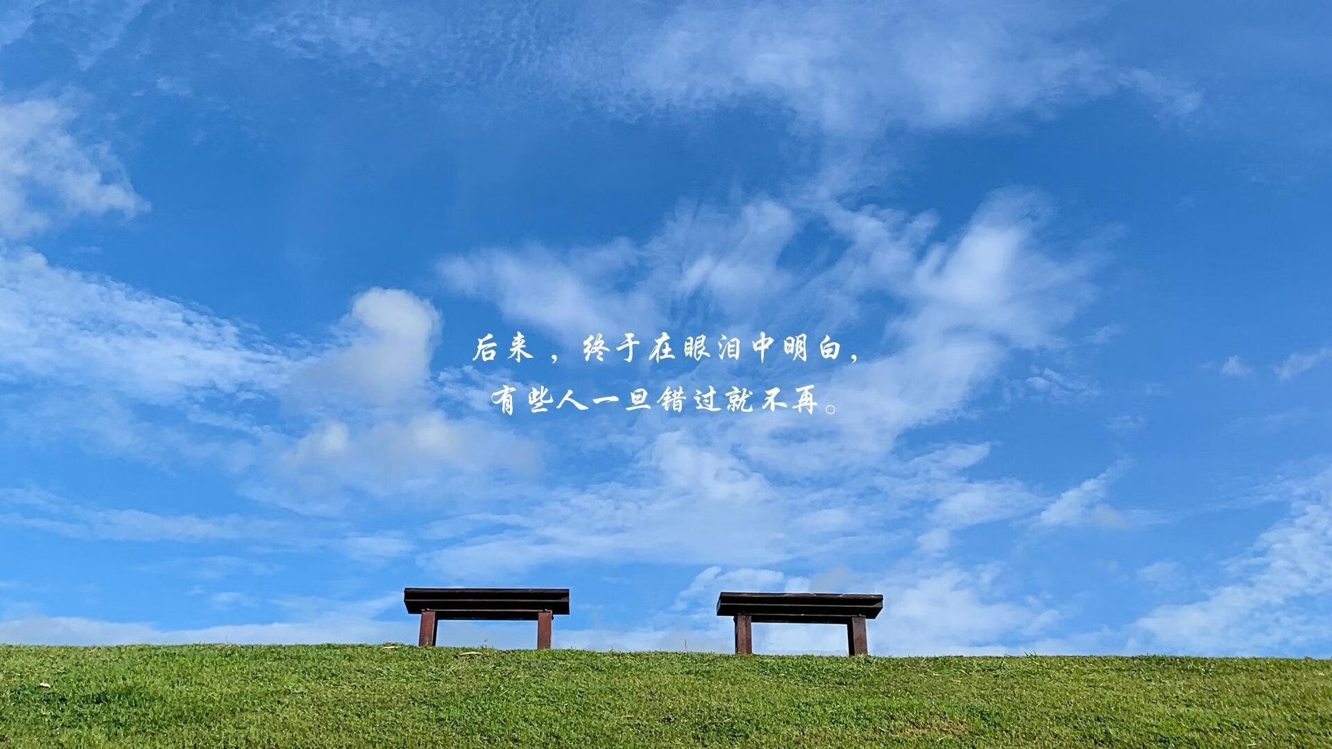 “东部新区定向越野：运动员在迷雾中寻觅胜利”