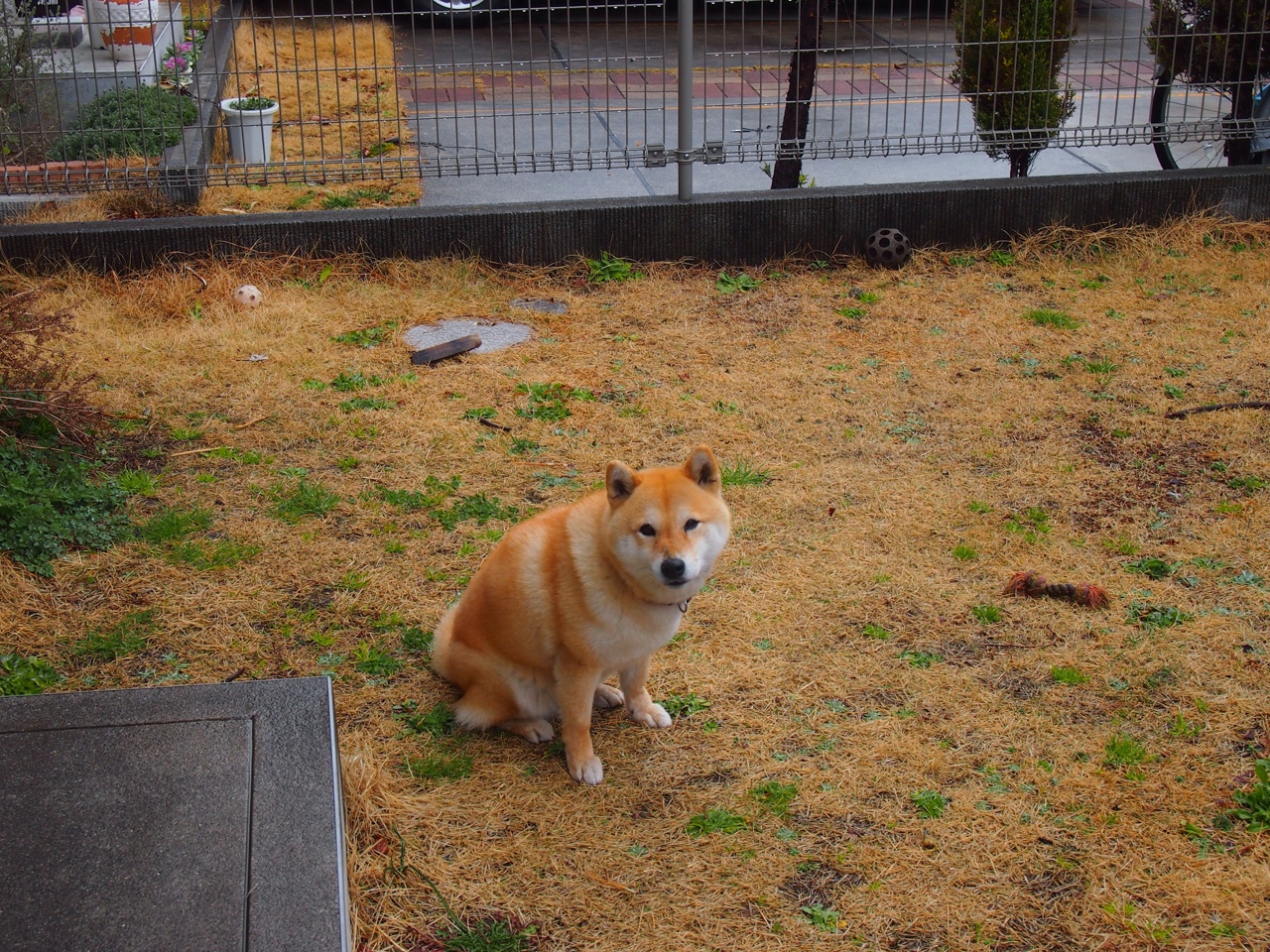 九游官网pc-中国女排新人亮相热身赛展现活力，中国女排新主帅最新进展