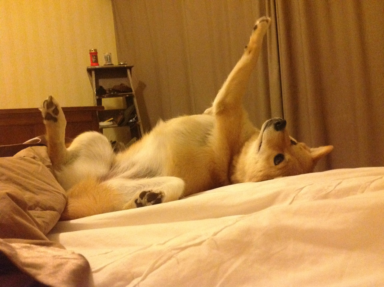 九游登录入口-五大联赛球队是否过度依赖边锋创造机会，五大联赛球队球员