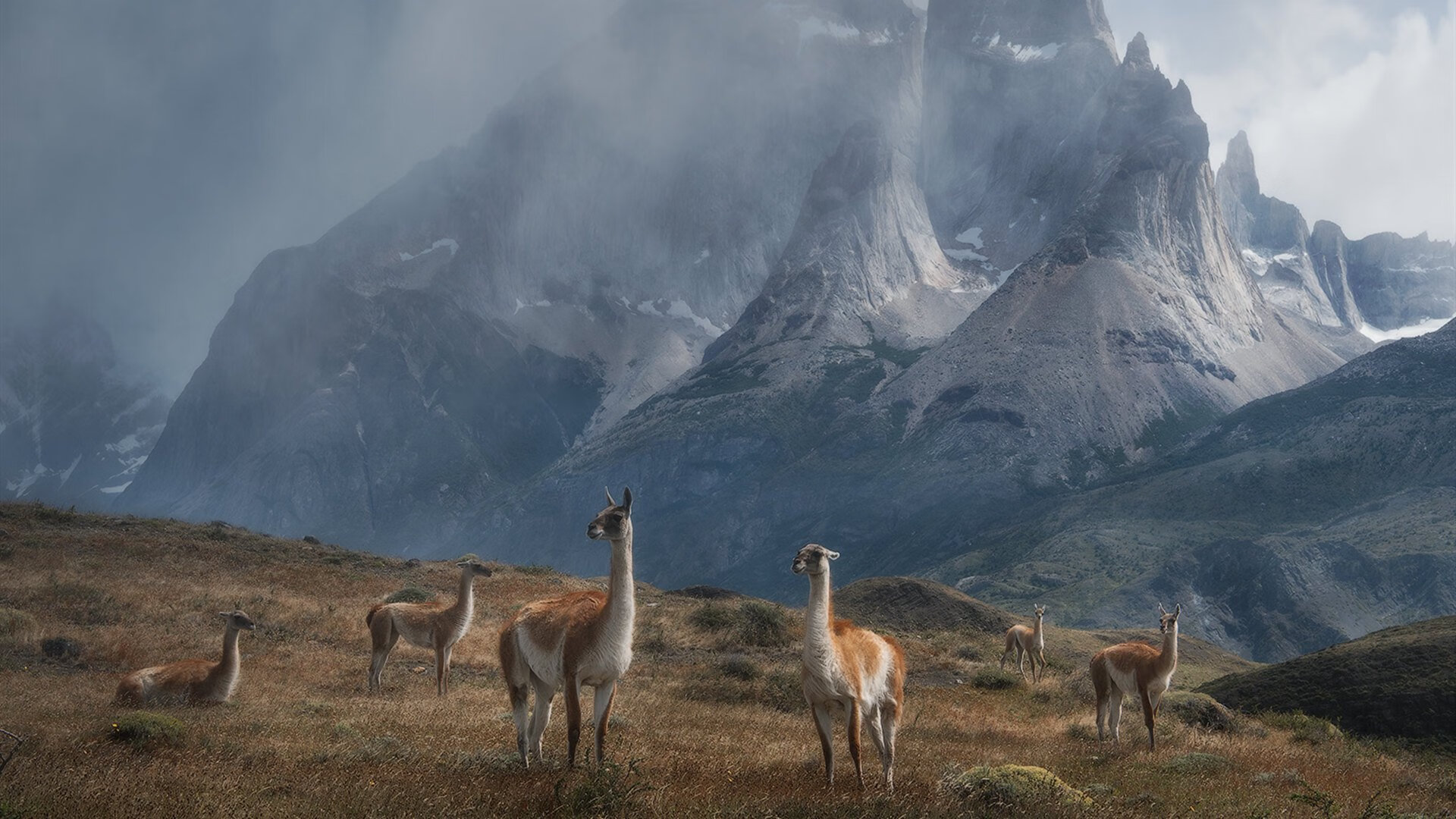荷兰队在国际赛场表现出色,提前晋级